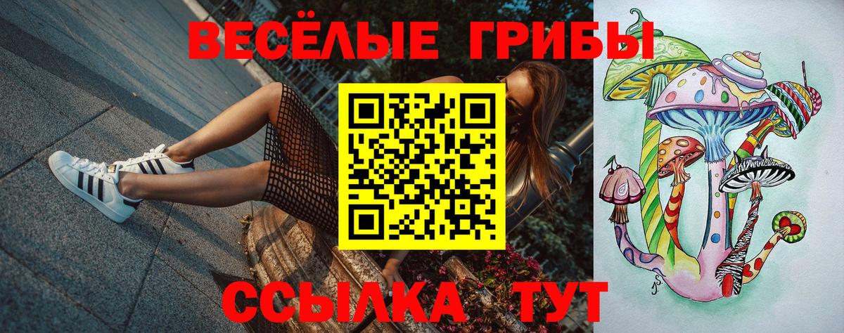 Галлюциногенные грибы Cubensis  Вход с VPN  Нефтекамск  Галлюциногенные грибы Cubensis 