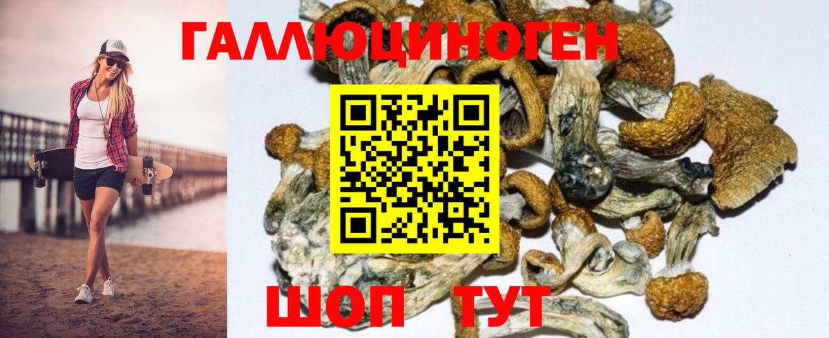Псилоцибиновые грибы GOLDEN TEACHER Нефтекамск